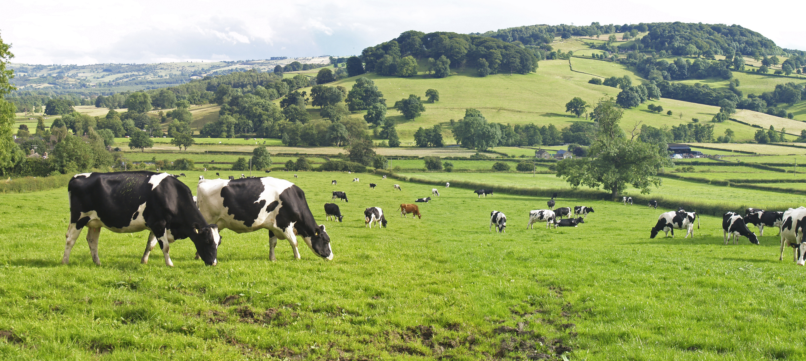 Why UK Agricultural Land Investment Is Becoming a Strategic Asset for Long Term Investors